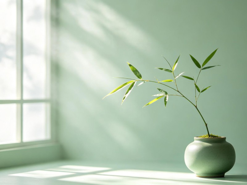 Clear and Bright (Qing Ming): Clear Light, Clear Space—A Modern “Air Out the Room” Ritual