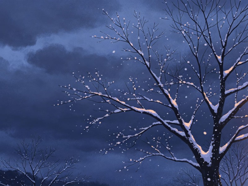 Major Snow (Da Xue): Deep Winter Calm—Warm Drinks, Short Walks, Long Rest — Rhythm of Nature seasonal living