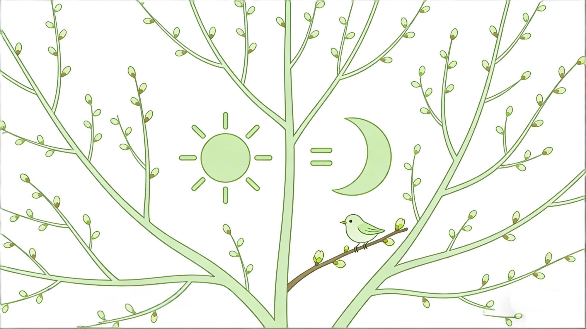 Spring Equinox minimalist illustration - equal sun and moon, bird on budding branch