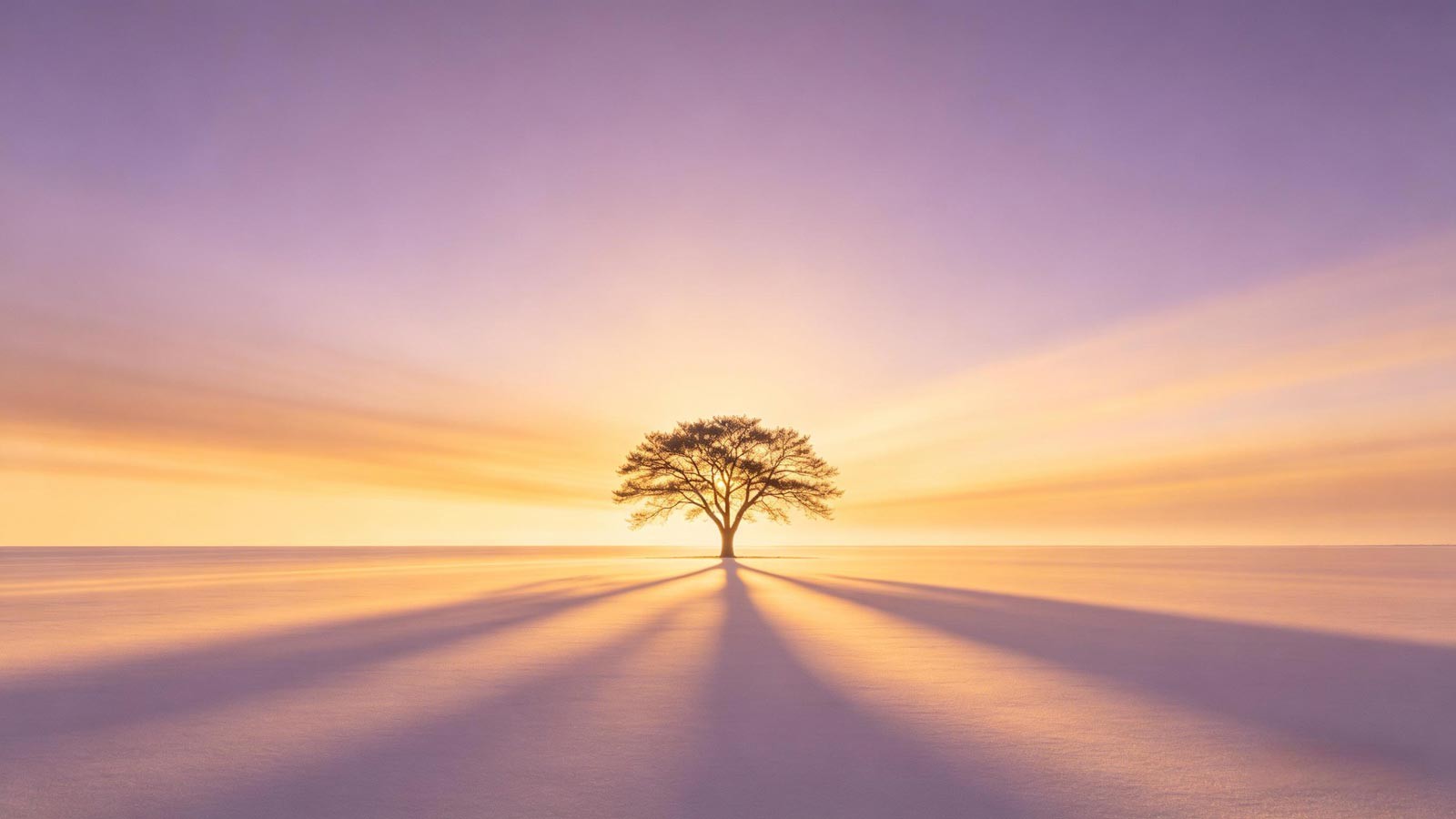 Long golden evening light—summer solstice mood, longest day feeling.