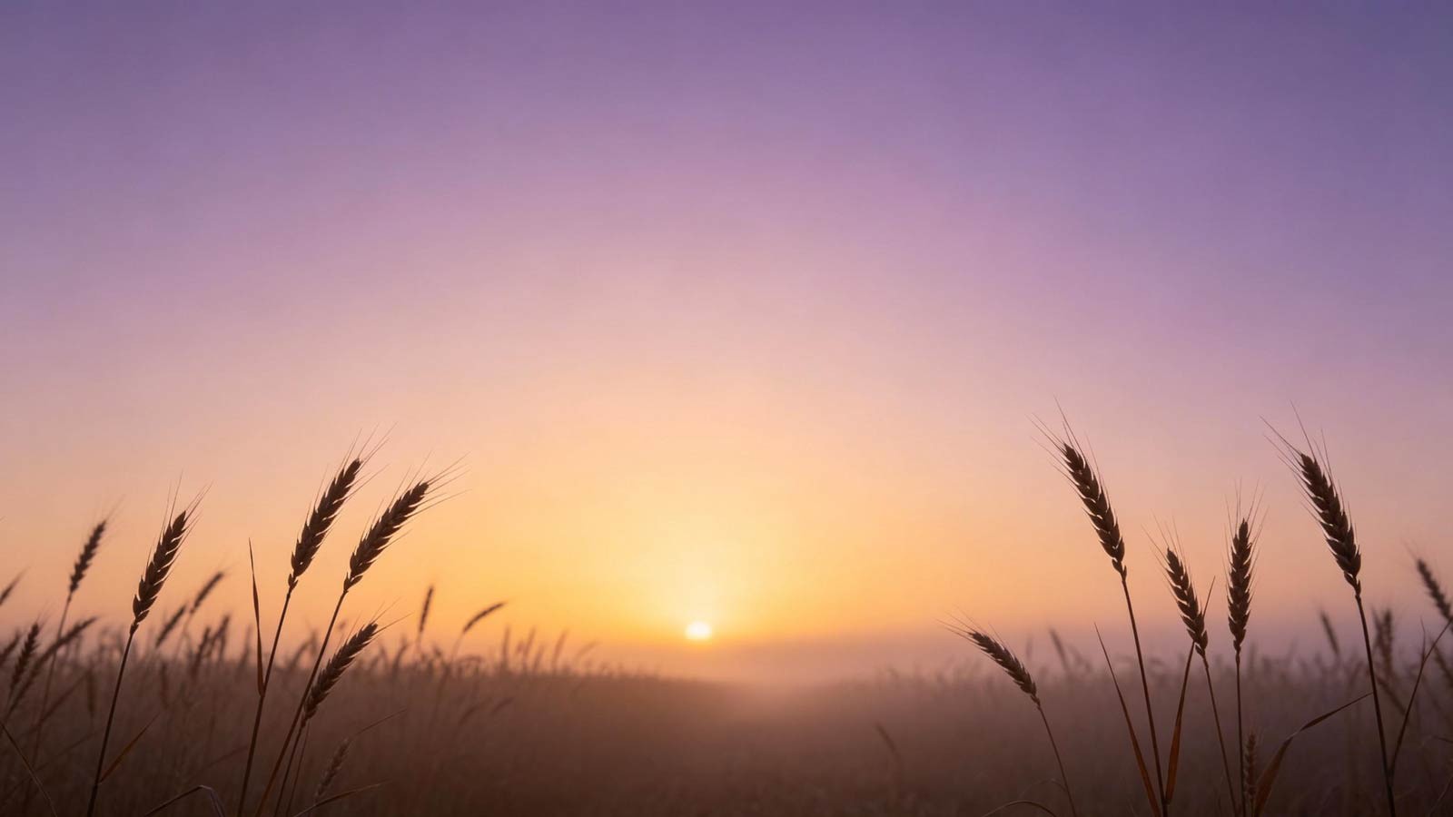Sunrise–sunset balance abstraction—gold and dusk violet meet, Autumn Equinox (Qiu Fen).
